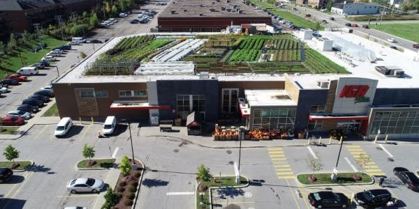 Rooftop farm revolution