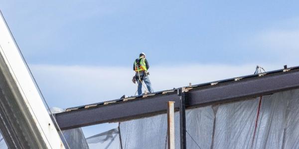 Wil-Mar Beginners Guide