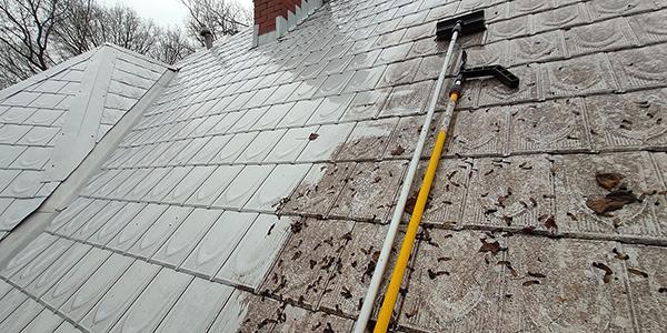 SFS 5 Reasons Investing