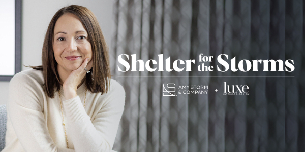 Amy Storm: Shelter for the Storms