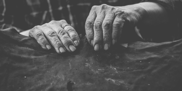 Historias de éxito en el techado