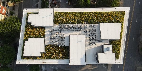 Making a lasting impact on communities and the planet