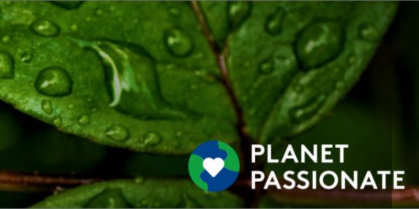 Serious about sustainability: 5 ways AWIP’s insulated metal panels offer a planet-conscious solution