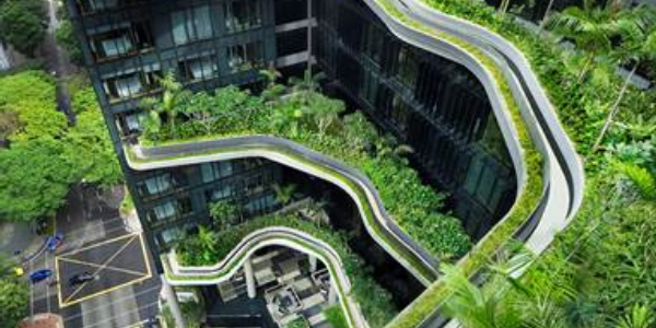 Exploring green walls, roofs and spaces around the world