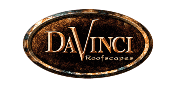 Danvinci Roof - logo