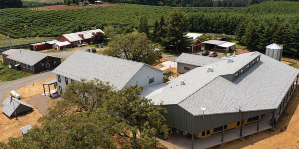 Under this roof, hope grows