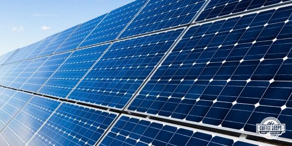 Withstanding the storm