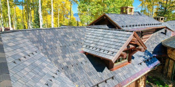 Understanding snow retention