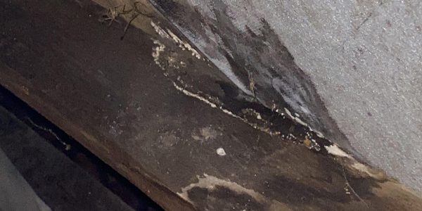 Q&A – Normal aging or an acute problem?