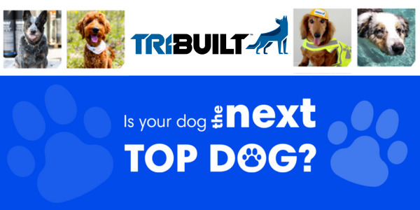 QXO - TRI-BUILT® begins nationwide search for 2025 “Top Dogs”