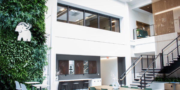 Bringing life to modern architecture, one wall at a time