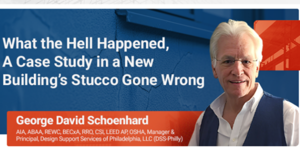 Faulty stucco: Learning from one project