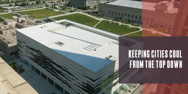 Keeping cities cool from the top down
