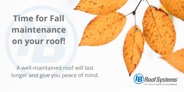 Check your Fall maintenance