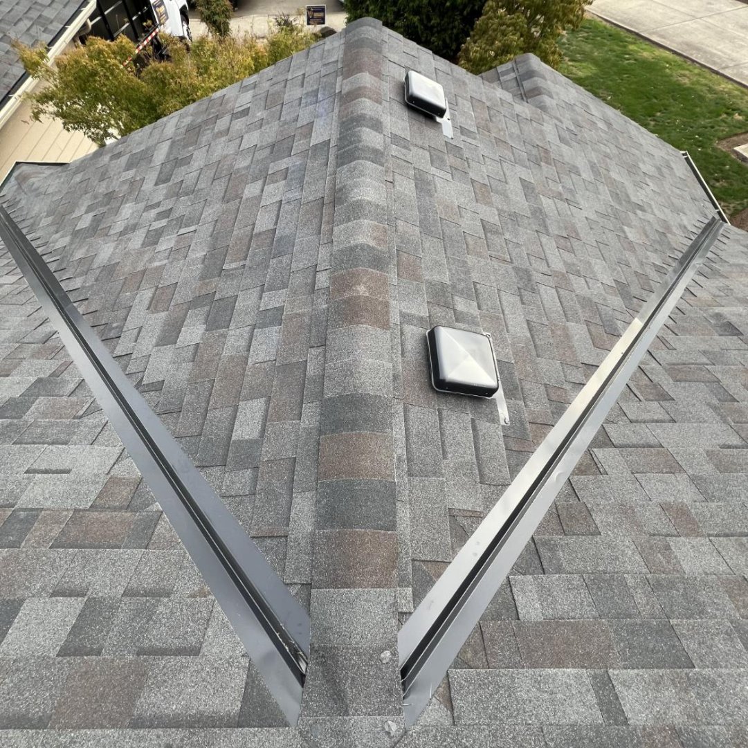 new-shingle-malarkey