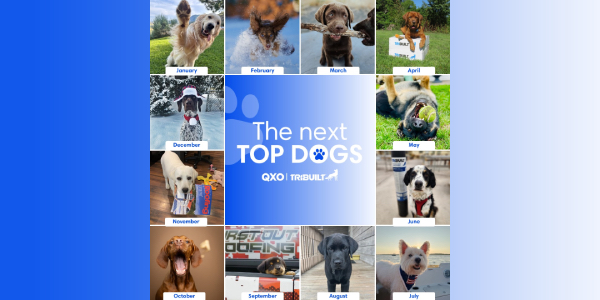 These dogs raise the woof!