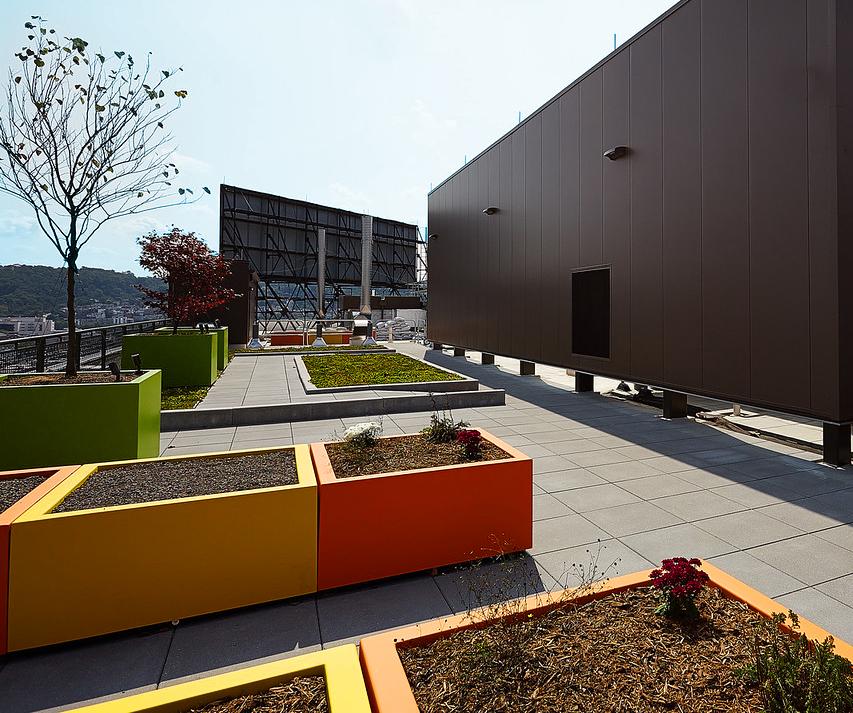 Burns and Scalo - Commercial roof planters