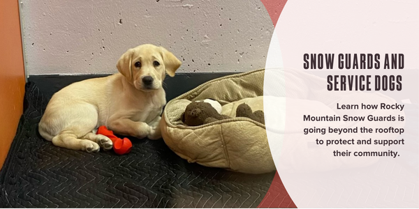 Snow guards and service dogs