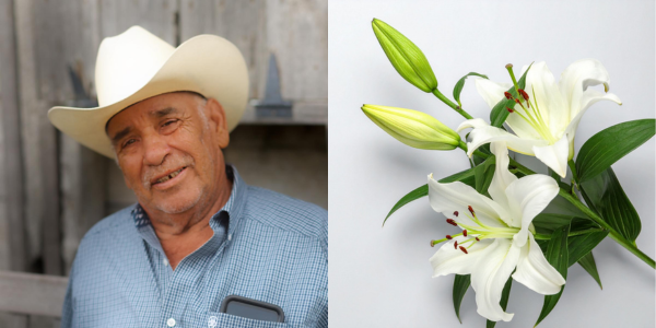 CRA In memory of Alfredo M. Ramos