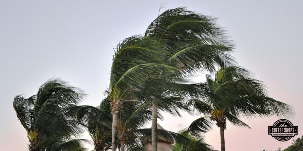 Understanding wind mitigation reports for stronger roofs