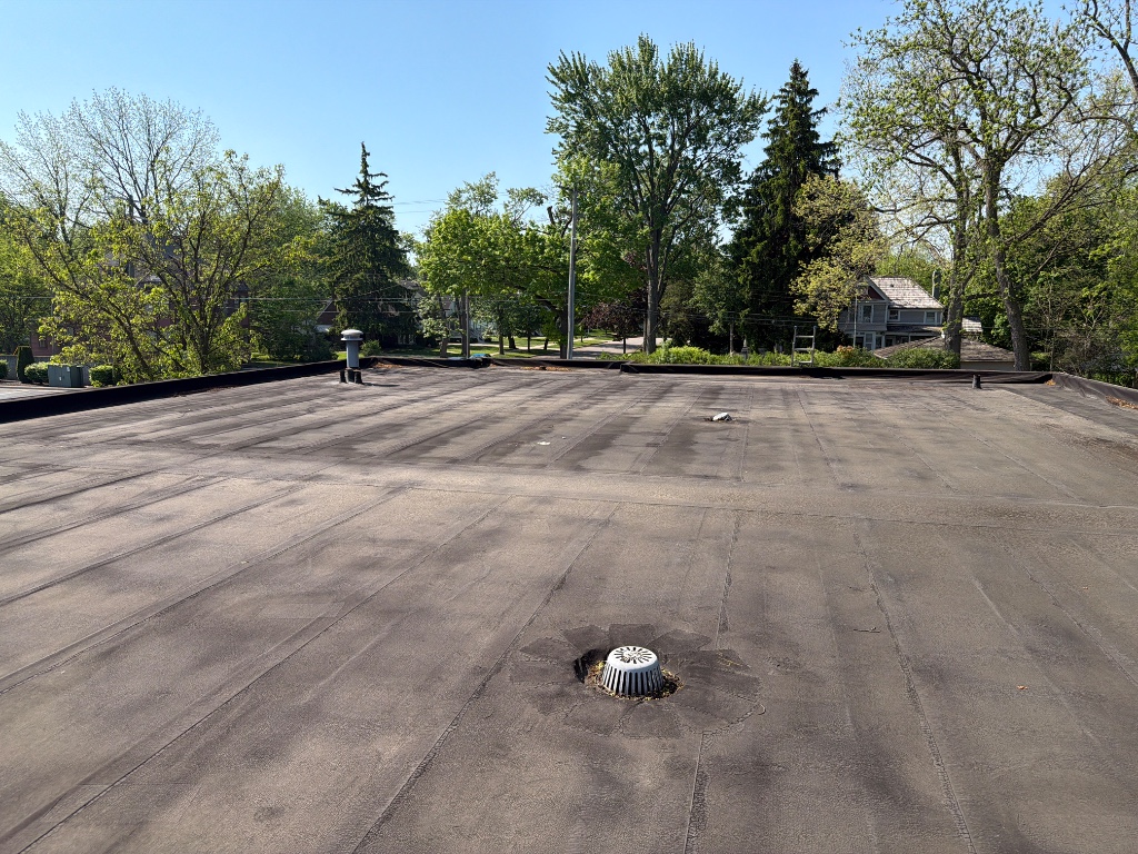 Kanga Roof - Before (Macomb)